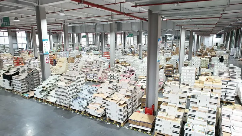 Company Profile